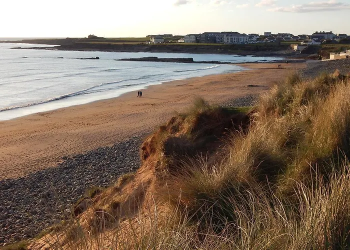 Casa de hóspedes Barkers